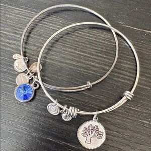 Silver Charm Bracelet bundle